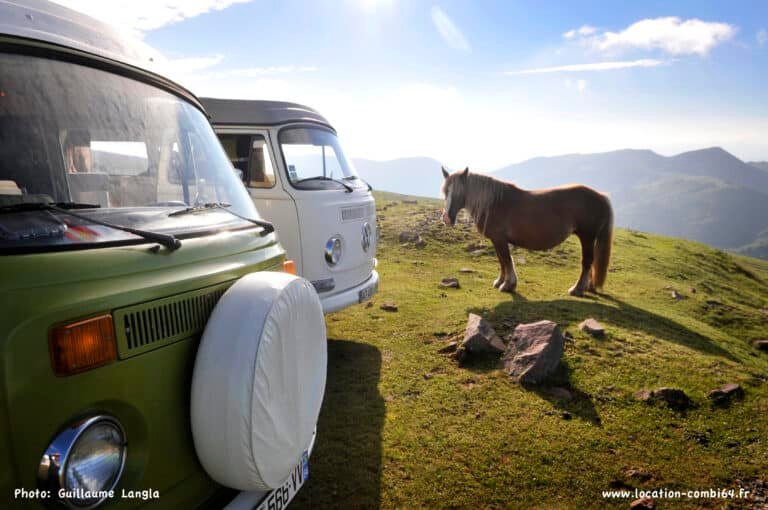 combi van vw